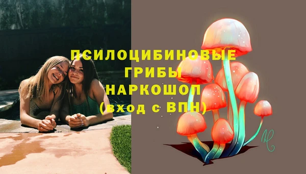 а пвп мука Осташков