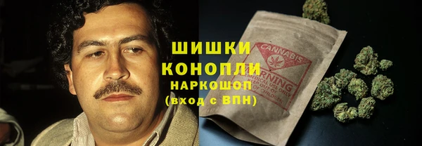 соль ск Осинники