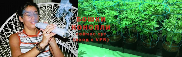 mdpv Остров