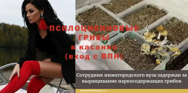 а пвп мука Осташков